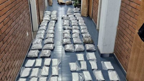 NOVOSADSKA POLICIJA ZAPLENILA VIŠE OD 100 KILOGRAMA NARKOTIKA: Uhapšeni Beograđani G.Ž. (40) i J.B. (42) osumnjičeni za trgovinu drogomm